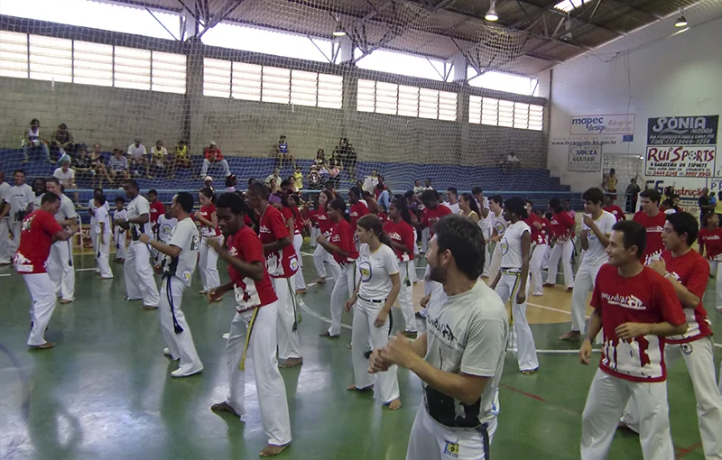 Consultoria em Capoeira